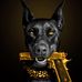 Casey Robison - Facebook