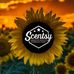 Scentsy - Independant Consultant - Casey Rockwell - Facebook