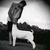 Casey Baugh - @caseybaugh1 - TikTok