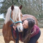 Casey Sargent - @romeothewelshpony_ - Instagram