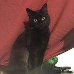 Casey Sargent - @csards16 - Instagram
