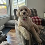 Mary Casey Schrader - @mschrader1 - Instagram
