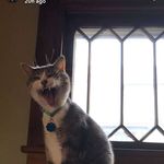 Casey Setzer - @setzerc30 - Instagram
