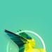 Casey silver - Facebook