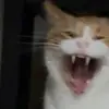 casey simmons - @caseywrld - TikTok
