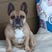Casey Simms - Facebook