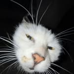 Casey Sipes - @cracker231946 - Instagram