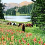 Casey Smith - @centennial_outfitters - Instagram