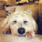 Casey Solis - @queencasey706 - Instagram