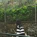 Casey Solis - Facebook