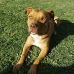 Casey Spell - @paulrunner08 - Instagram