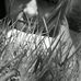 Casey Caine Sprague - Facebook