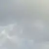 caseyleesteed1 - @caseyleesteed1 - TikTok