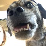 Casey Stein - @caseystein1234 - Instagram