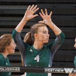 Casey Stephens - @caseystephens.volleyball - Instagram