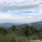 Casey Strauss - @homers.ranch.31 - Instagram