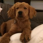 Casey Stroh - @stroh_ca - Instagram