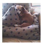 Casey Thomson - @othercaseythomson - Instagram