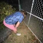 casey thomson - @casey.thomson1 - Instagram