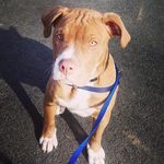 Tyson Fury Casey - @tysonfurycasey - Instagram