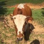 Case Unruh - @cowboy11601 - Instagram