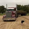 Kasey Unruh - @kaseyunruh - TikTok