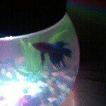 Casey Upton - @cm_upton - Instagram