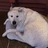 Casey - @vanhorncasey - TikTok