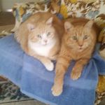 Nancy Casey Vanhorn - @nancy84858 - Instagram