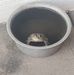 Casey Vap - Facebook