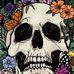 Casey Vasquez - Facebook