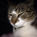 Casey Vassallo - Facebook