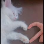 Fatima Kassi - Facebook