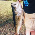 Casey Vinson - @casey_vinson - Instagram