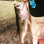 CV - @casey_vinson2002 - Instagram