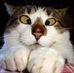 Casey VanderWalle - Facebook