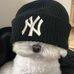 Casey Vo - Facebook