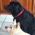 Donna Volpe Casey - Facebook