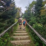 casey - @casey__wade - Instagram