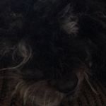 Casey Wagoner - @allthempotatoes_ - Instagram