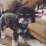 casey wagoner - @caseywagoner742 - Instagram