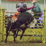 Casey Wall - @wallcasey52 - Instagram