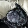 caseywall94 - @casey.wall - TikTok