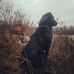 Casey Walls - Facebook