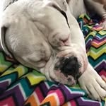 Casey Walters - @caseywalters1396 - Instagram
