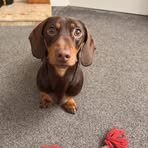 Kacie Walters - Facebook