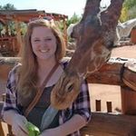 Casey Walton - @caseywaltondesign - Instagram