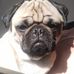 Casey Waller - Facebook