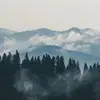 Casey - @caseywang68 - TikTok
