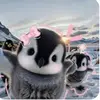 casey - @caseywang_24 - TikTok